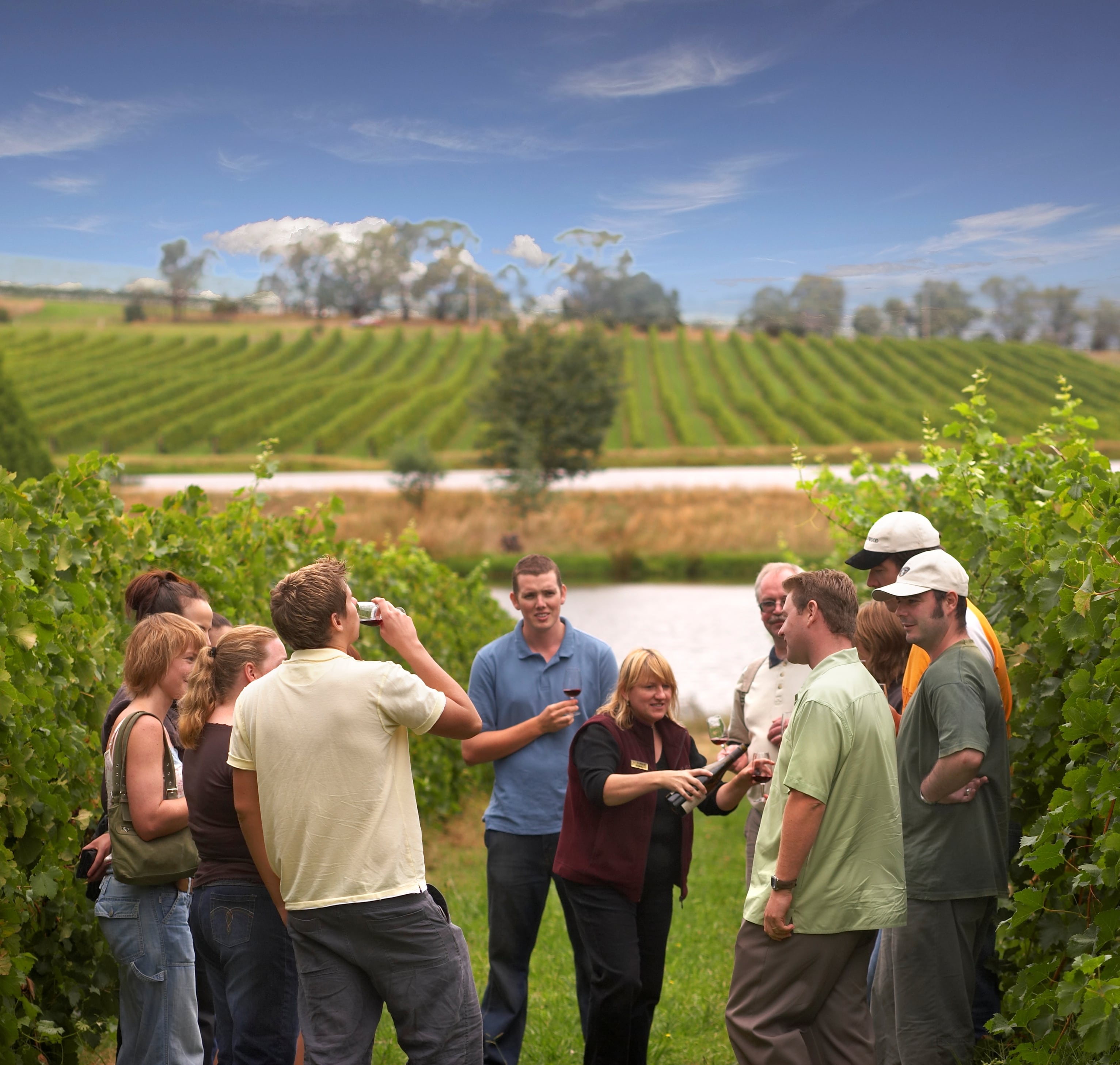 wine tour for young