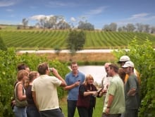 Australian Wine Tours