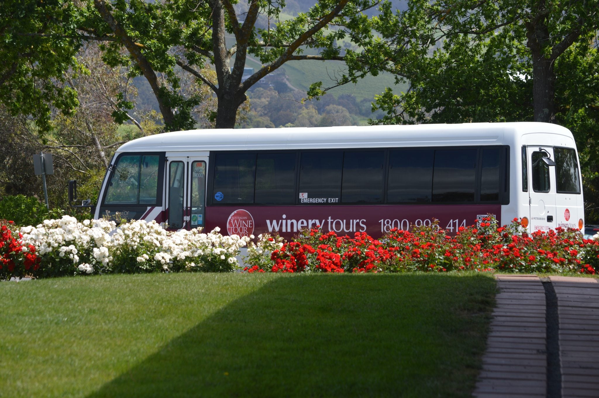 local wine tour bus