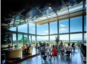 Winery restaurant showing room full of seated diners and floor to ceiling windows with view of Yarra Valley winery