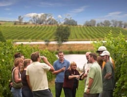 Australian Wine Tours in Victoria's Yarra Valley