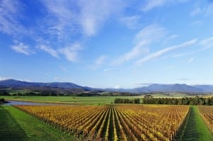 melbourne-wine-tours