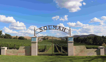 2:45pm Soumah of Yarra Valley