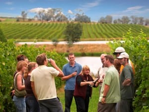 Australian Wine Tours in Victoria's Yarra Valley