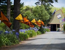 Driveway with flags