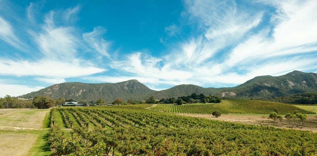 The Vines at Mt Langi Ghiran