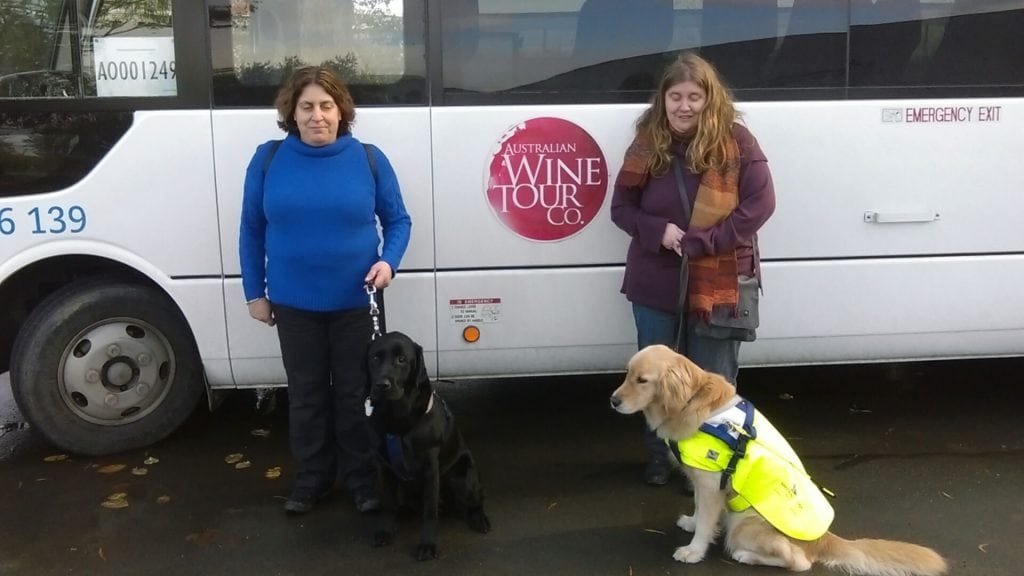 Two women and two dogs