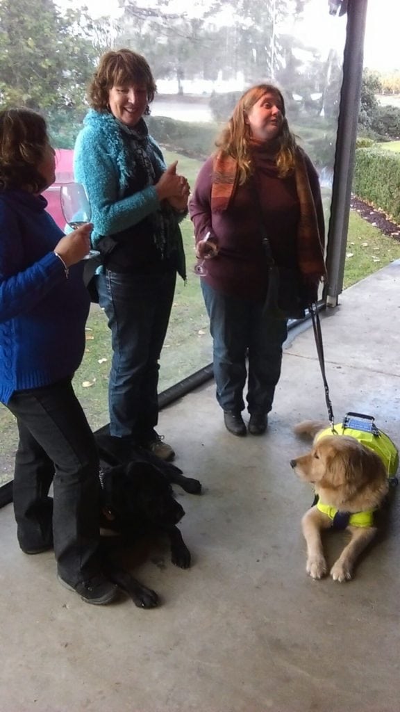 Three women and two dogs