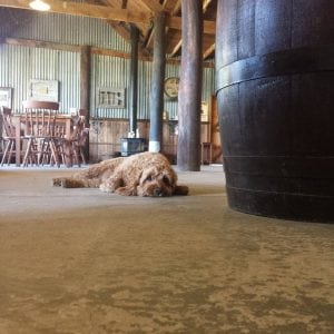 Yarra valley winery profile