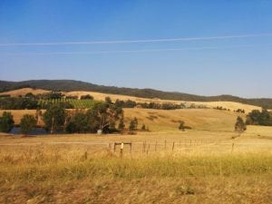 spotlight on the yarra valley