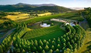 spotlight on the yarra valley