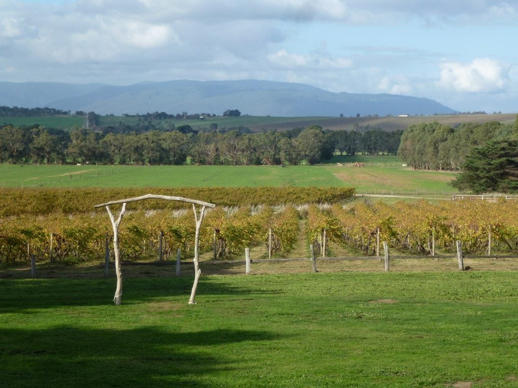 Yarra valley vineyards