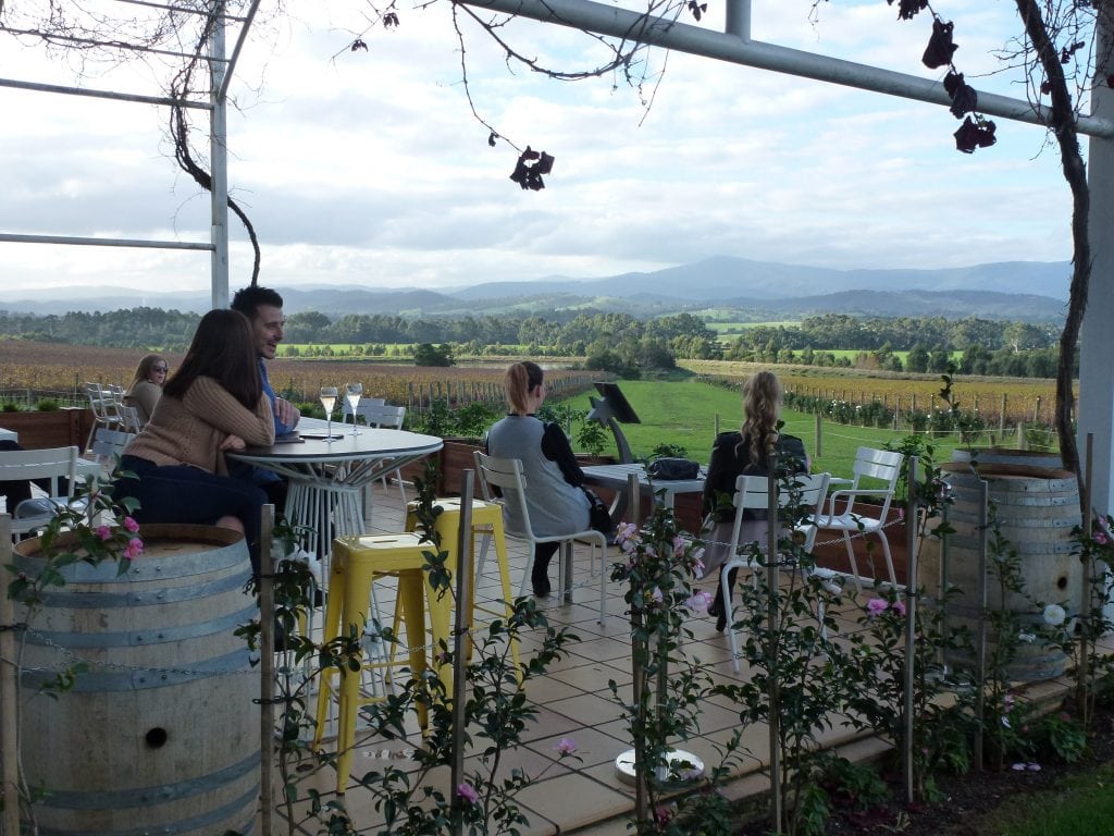 yarra valley wine tours