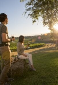 winery tours