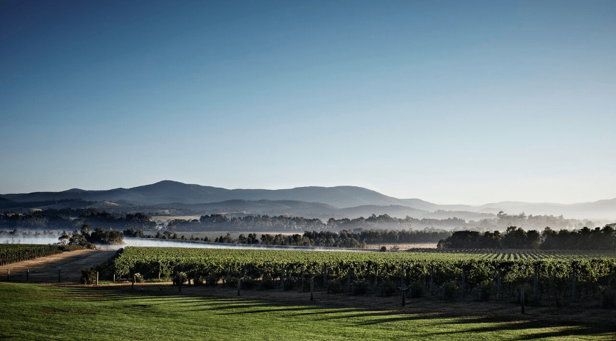 Winery Spotlight: Domaine Chandon - Australian Wine Tour Co.