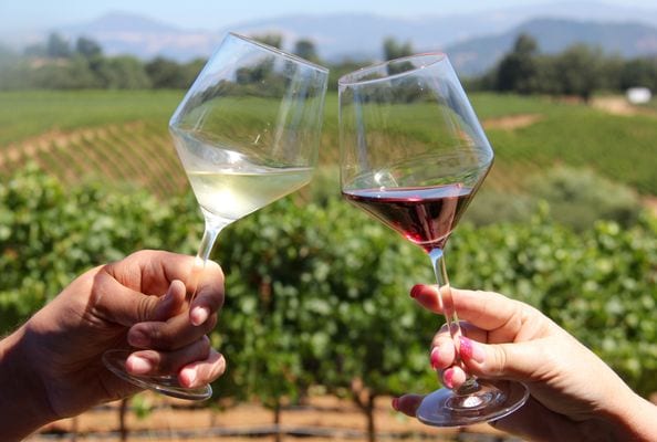 Australian Wine Tours 2024 | ozogama.lt