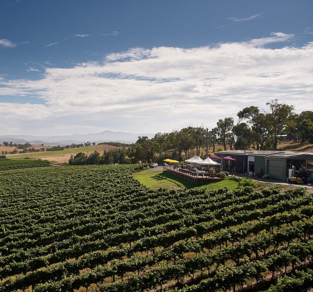 Winery Australian Wine Tour Co.