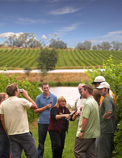 bungee jump lade Kurv Wine Tours to the Yarra Valley From Melbourne | Yarra Valley Wine Tours