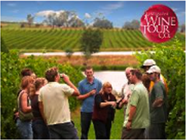 Gift Voucher for the Yarra Valley Wine Experience
